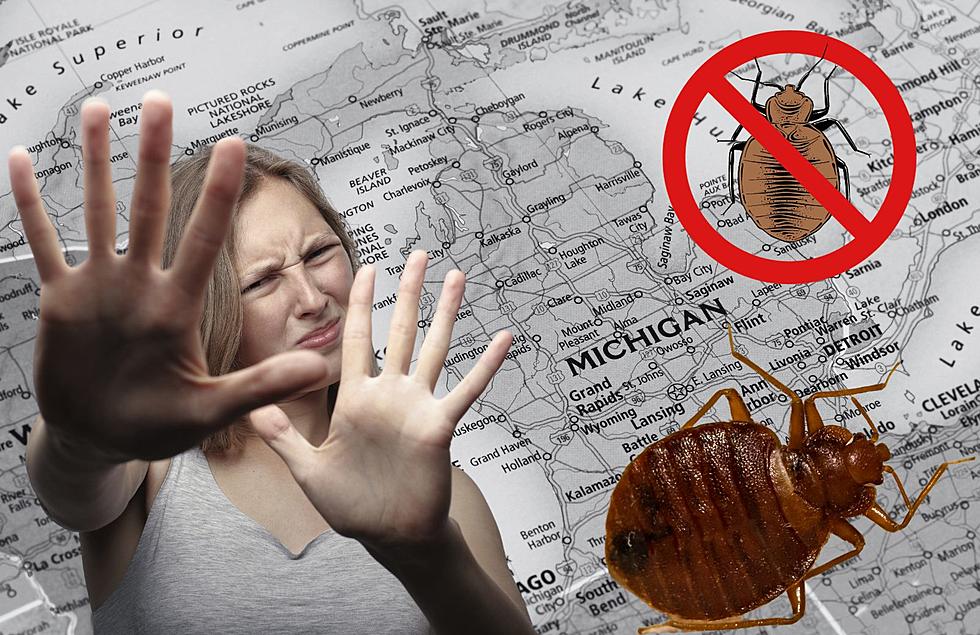 Bed Bugs Are Crawling This Fall Through These 4 Michigan Cities