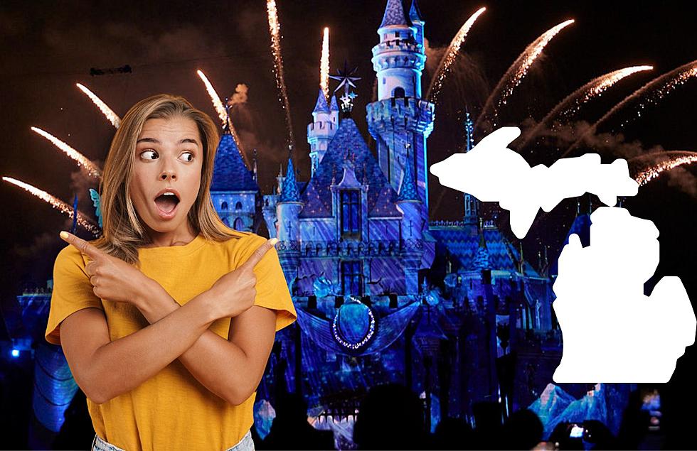 Is Disneyland REALLY Coming to Michigan?