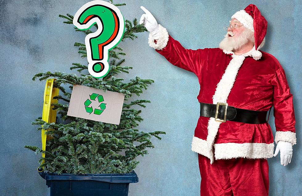 Where To Dispose of Your Christmas Tree In Michigan