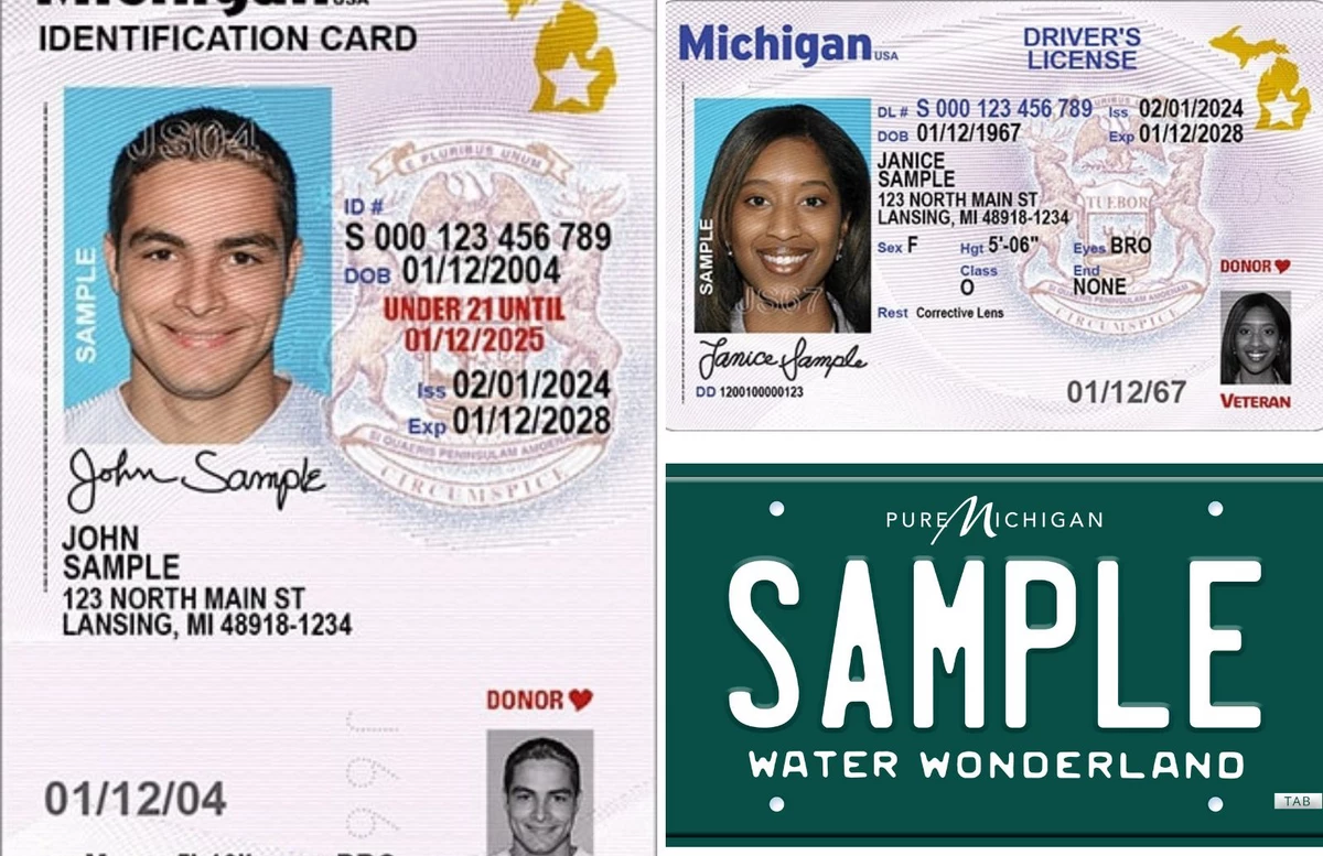 Michigan Department of State Launches Green and White License Pla