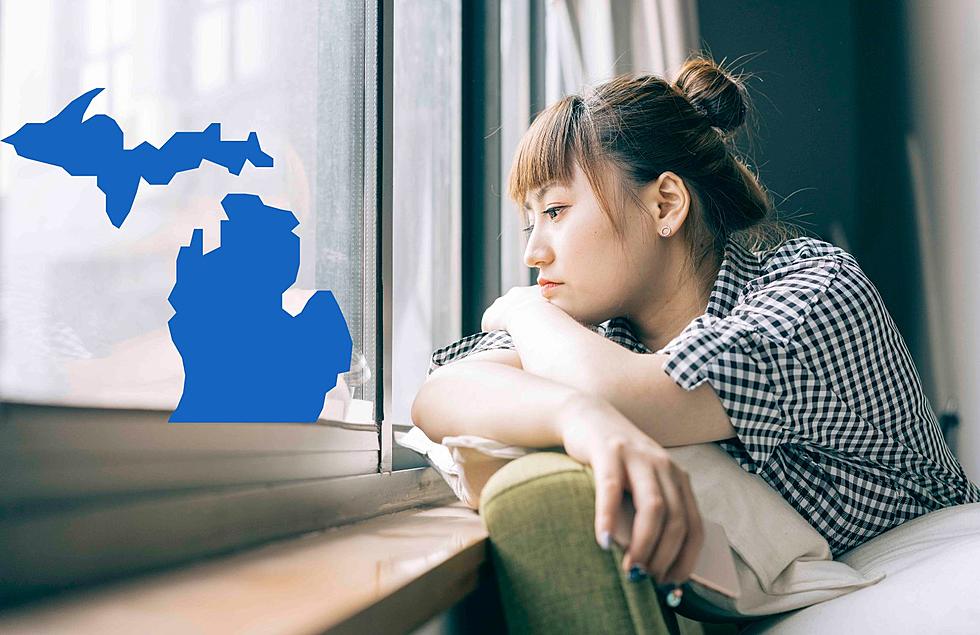 Two Cities In Michigan Make Top 20 Loneliest Places