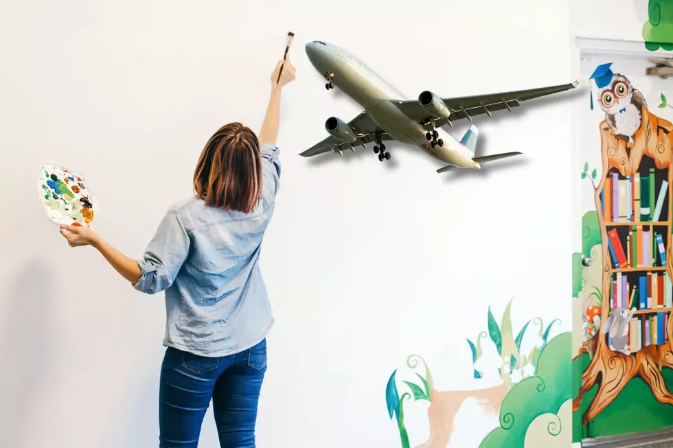 New Murals Aim To Make Your Next Trip To Grand Rapids&#8217; Airport More Tranquil
