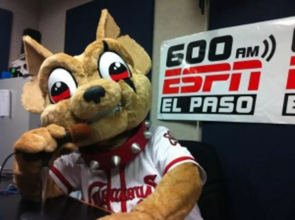 Is The Chihuahuas Mascot Chico A Menace To Society?