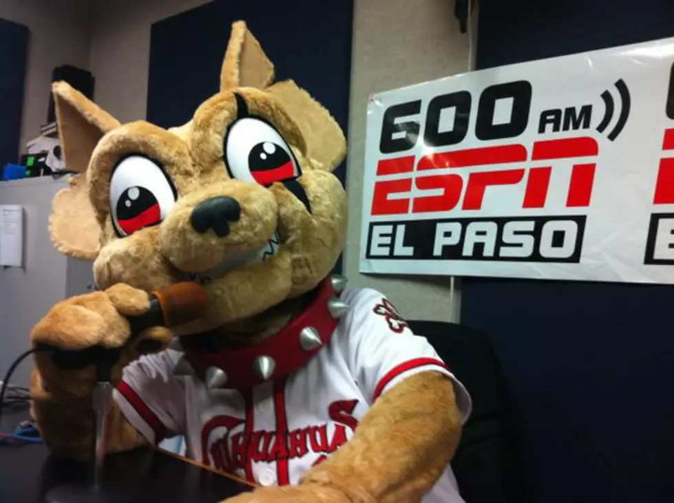 Meet Chico, The El Paso Chihuahuas New Mascot
