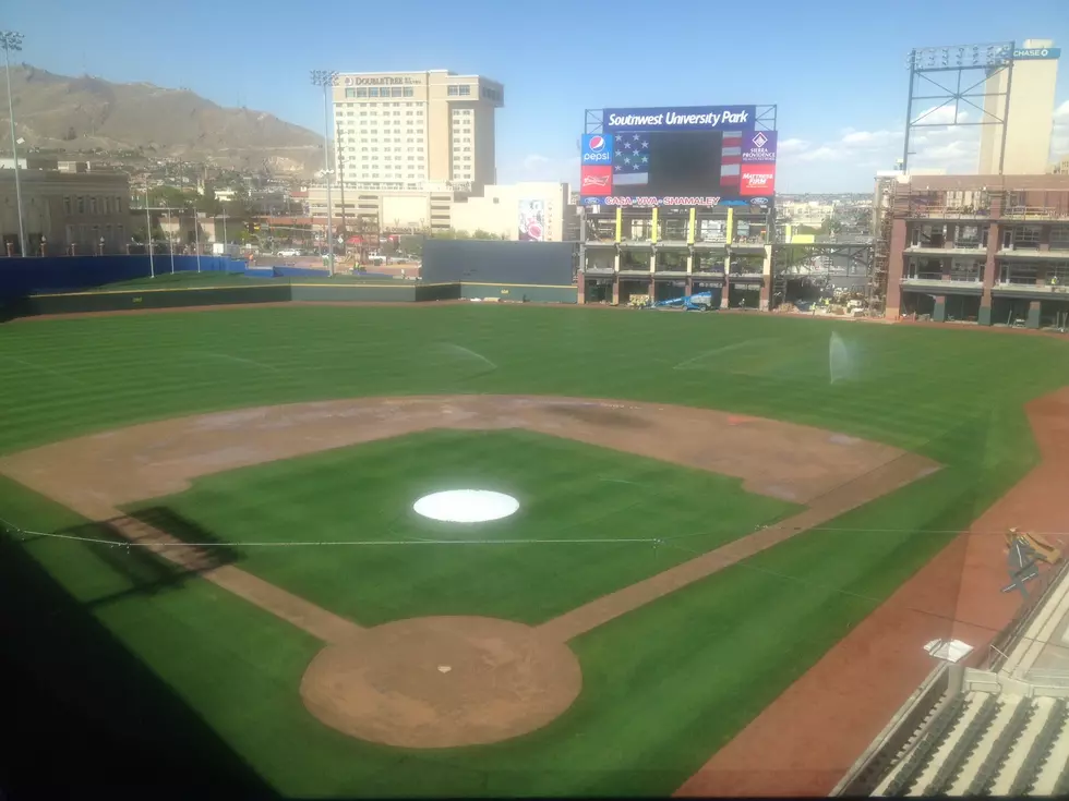 5 Important Tips For Attending A Chihuahuas Game