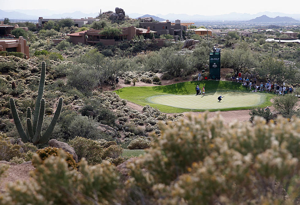 Mountain Lion Wanders onto Scottsdale Golf Course Green and Plays with Flag [VIDEO]