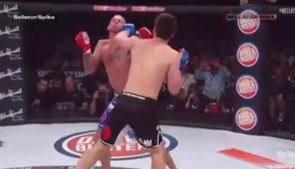 Watch an Amazing Knockout From Bellator 139