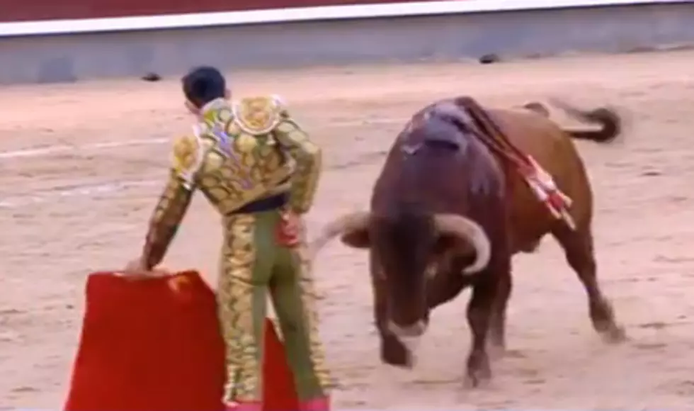 Bullfighter Gets Gored Again In Less Than A Year
