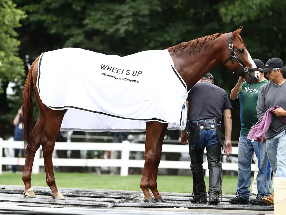 Belmont Stakes Picks by the Iceman