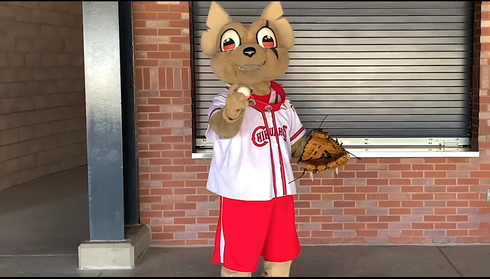 Watch Chico the Chihuahua Participate in a Virtual Game of Catch with EP Kids