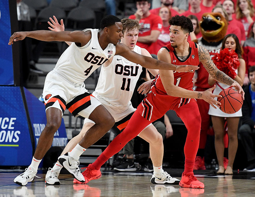 Pac-12 Transfer Alfred Hollins Gives UTEP Length and Experience
