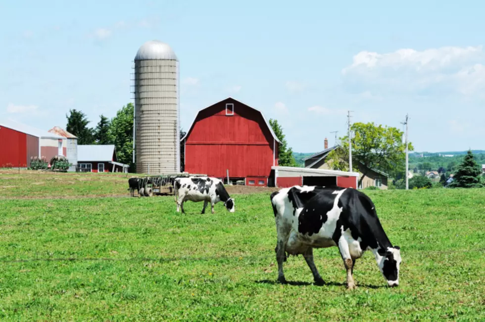 Agriculture Report Puts Dutchess County at Top