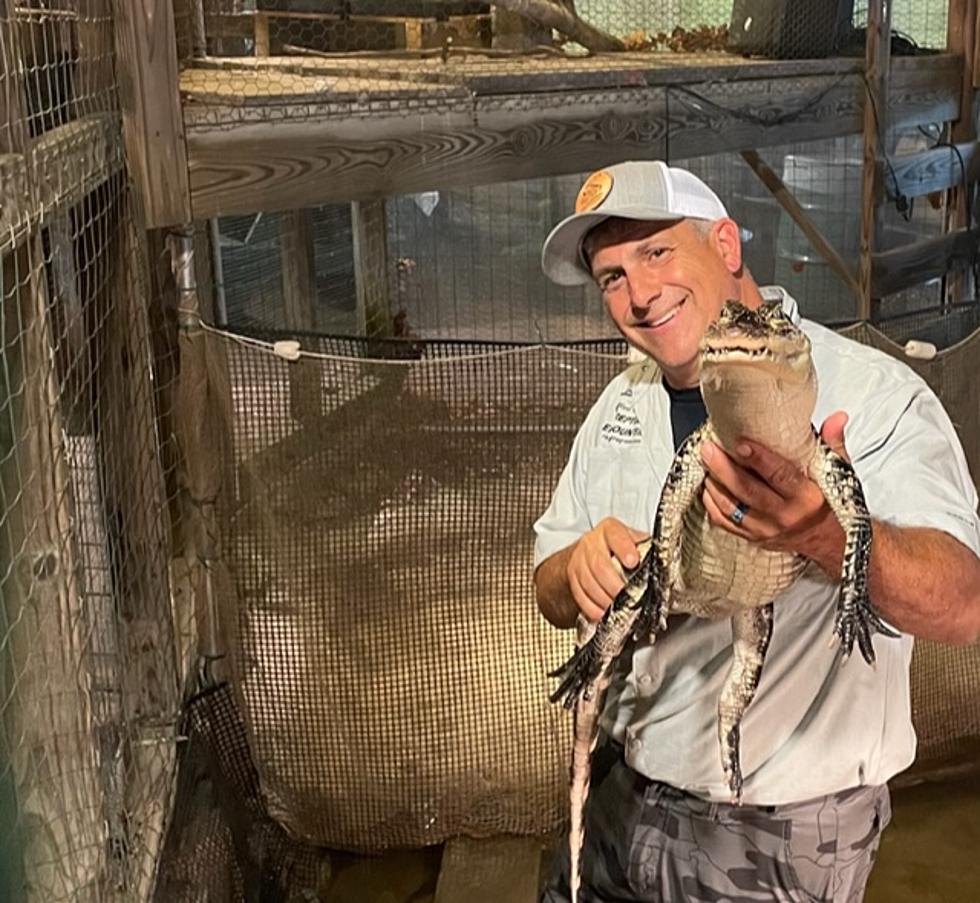 Alligators Up-Close: Mark Perpetua’s Crocodilian Conservation at The Northeast Outdoor Show