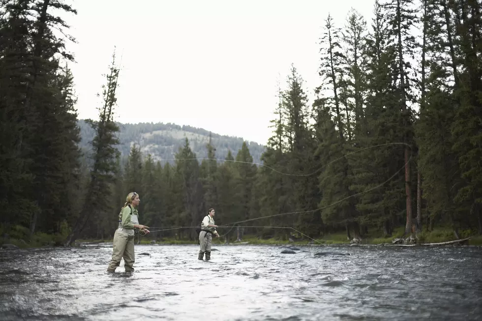Fly Fishing Festival in Missoula (Yes, there will be beer)