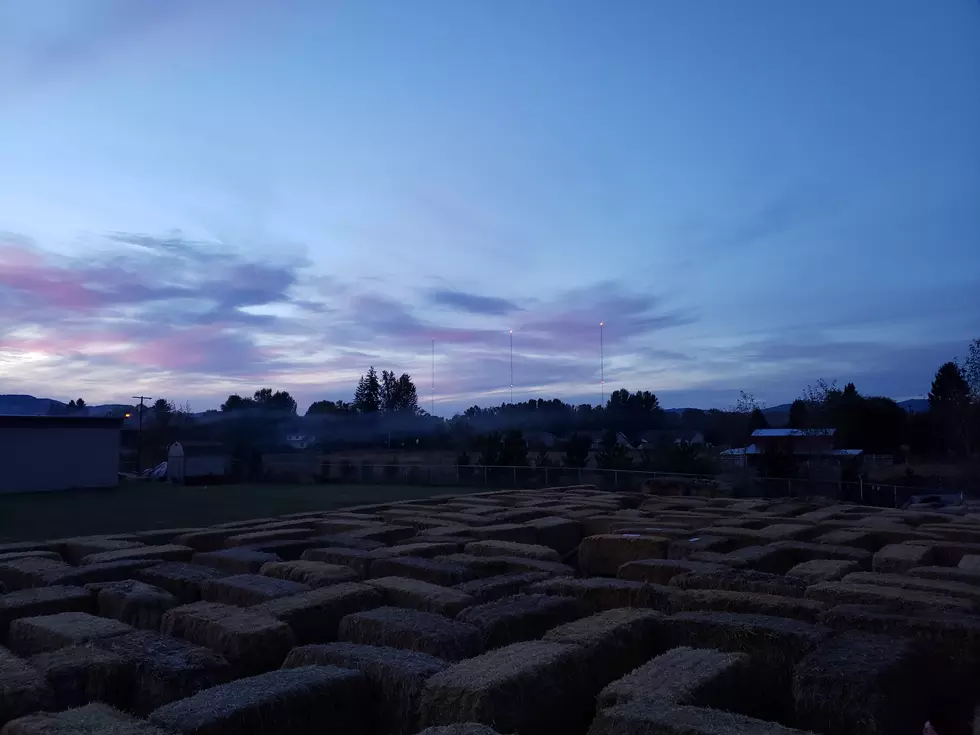 Photos of What to Expect at the Missoula Maze