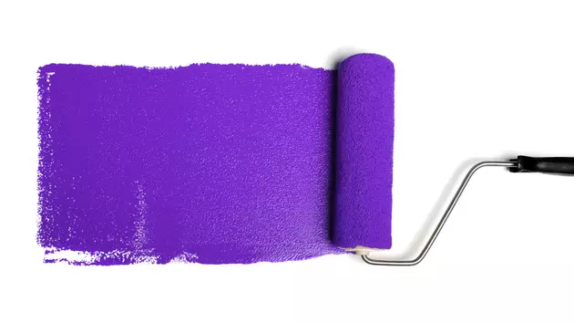 If You See Purple Paint in the Montana Wilderness, You Need to Leave