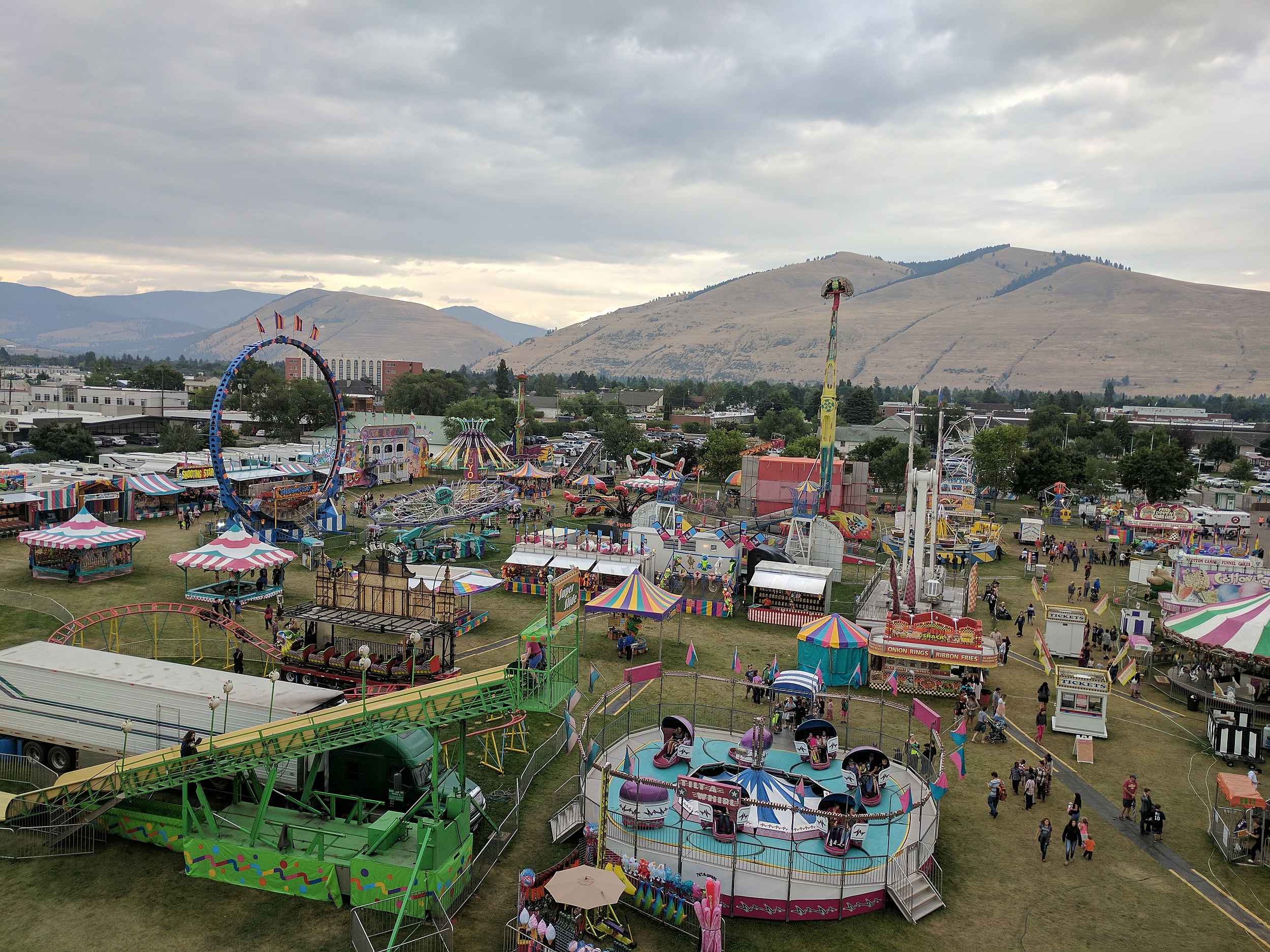Western Montana Fair 2024 bab gertrude