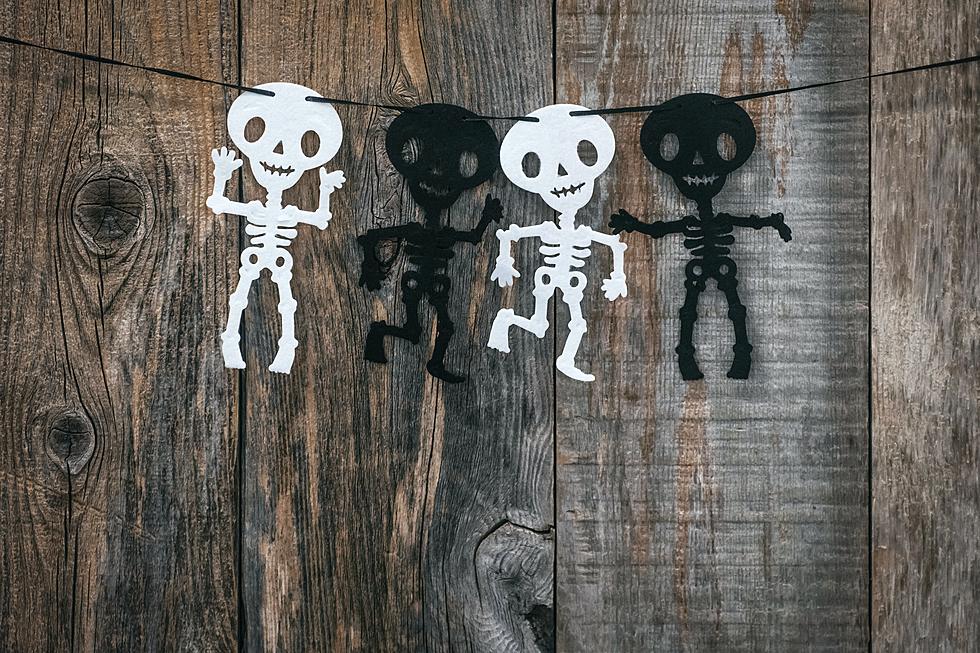 Make Up for Halloween Candy Consumption With Missoula&#8217;s Skeleton Skedaddle &#038; Pumpkin Plod