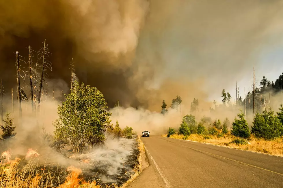 How to Prepare For A Wildfire Evacuation