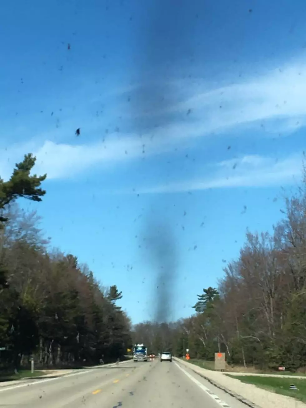 No That’s Not Smoke, It’s a ‘Bug Tornado’ in Northern Michigan