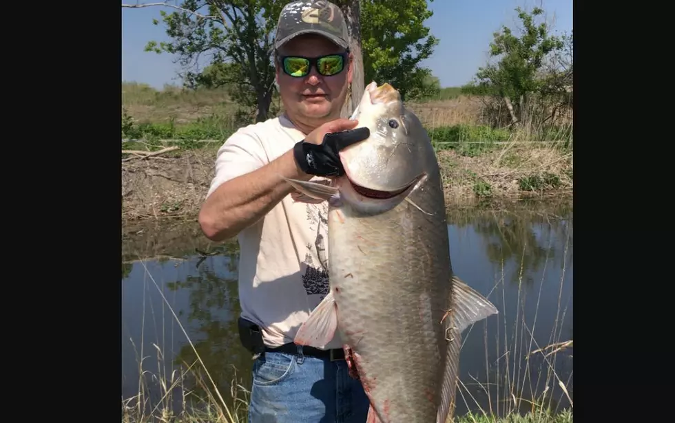 Michigan Man Catches a Fish the Size of a 2 Year Old Child