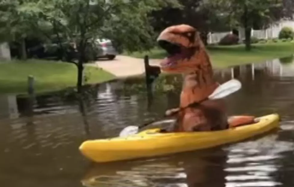 T-Rex Kayaks Through Flooded Mid-Michigan Neighborhood