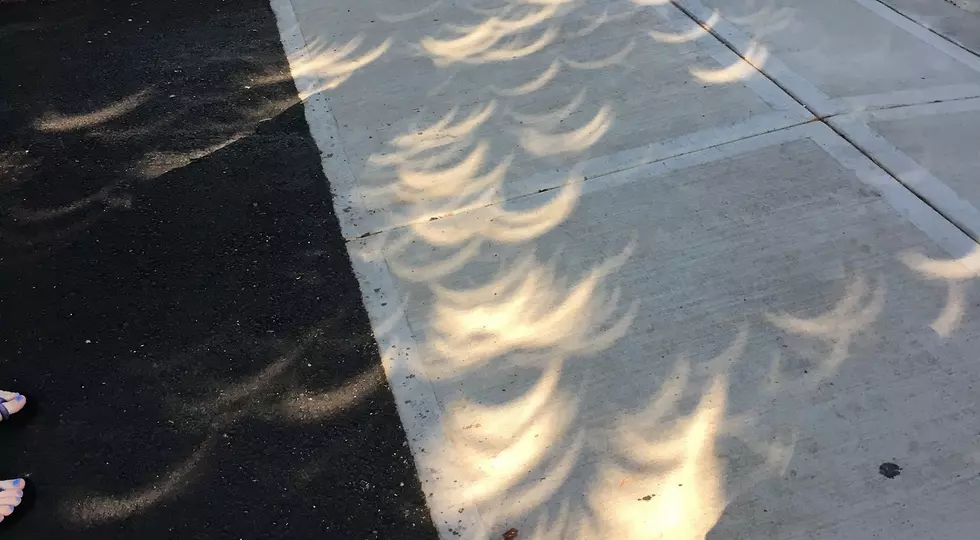 The Coolest Thing I Witnessed In Michigan During The Eclipse
