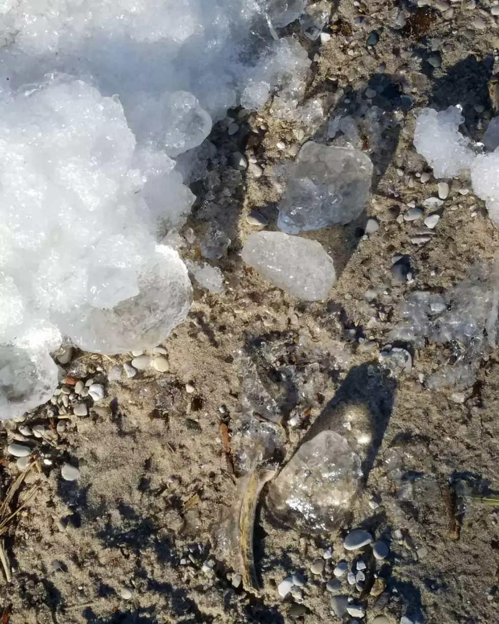 Stunning, Brilliant Ice Crystals Shine on Lake Michigan Shoreline- A Natural Wonder