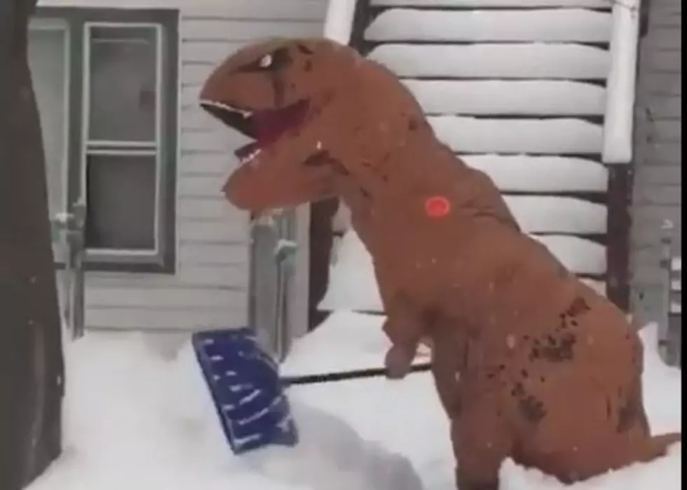 The Ice Age is Back as a Dinosaur is Spotted Shoveling Snow in Chicago