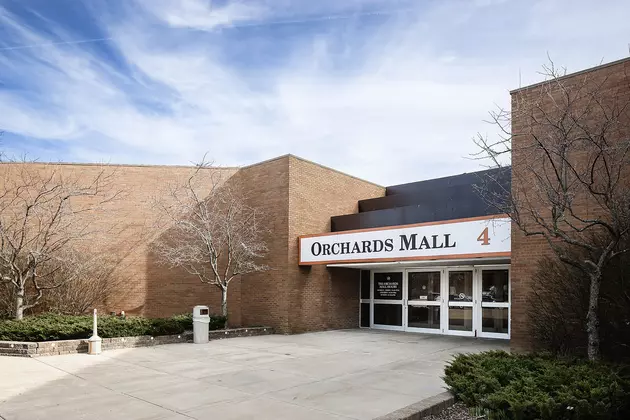 Want to Buy a Mall? This Southwest Michigan Location is Up for Auction