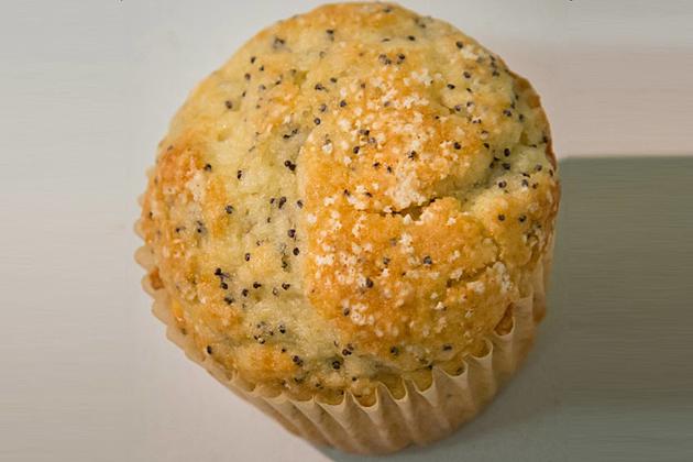 Can You Spot the 5 Ticks on This Poppy Seed Muffin?