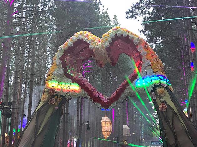 Undercover Fail: Michigan State Police at Electric Forest Music Festival