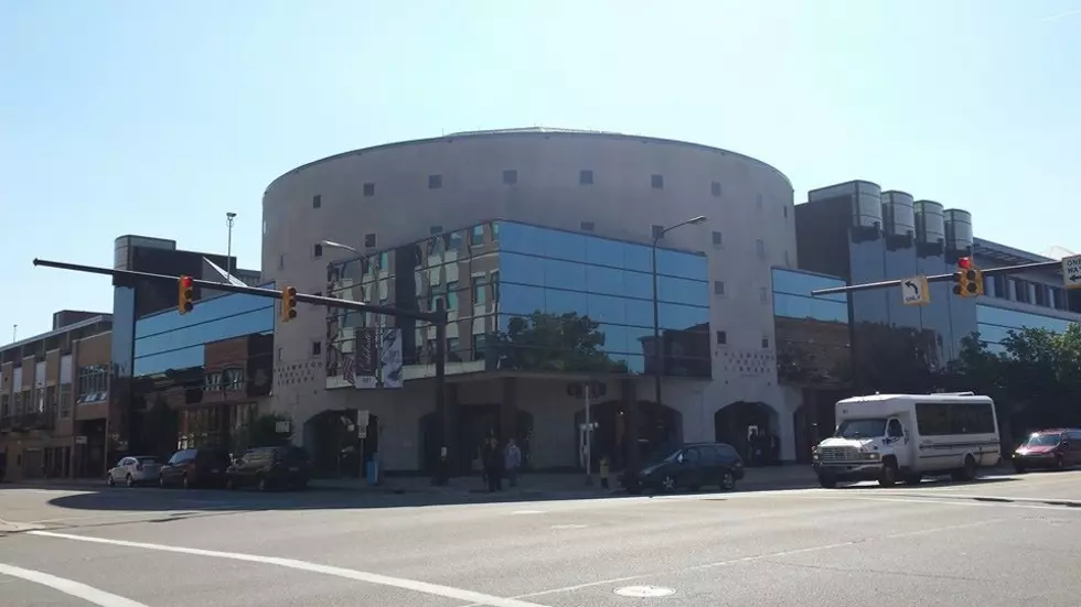 Valuable, Rare, First-Edition Book Found in Kalamazoo Public Library Collection