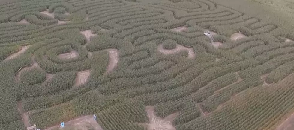 A 20-Acre, 10 Mile Corn Maze? We’ve Seen Stranger Things