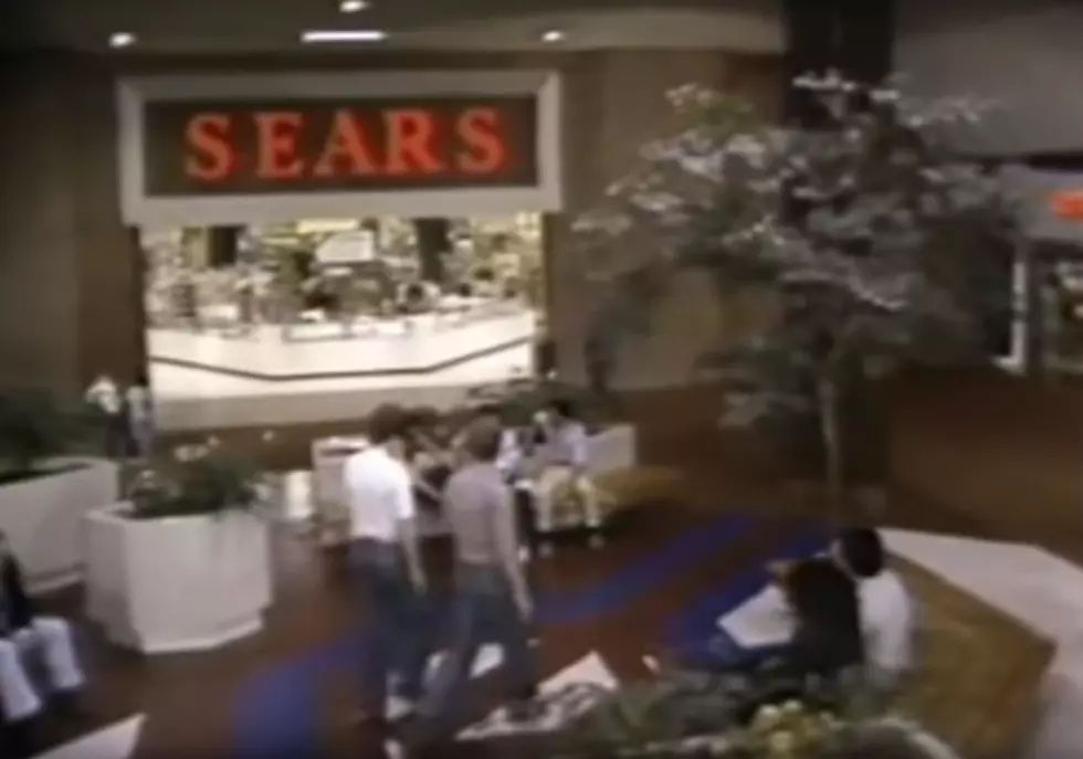 Lakeview Square Mall: the Early Years- How Many of These Stores Do You Remember?