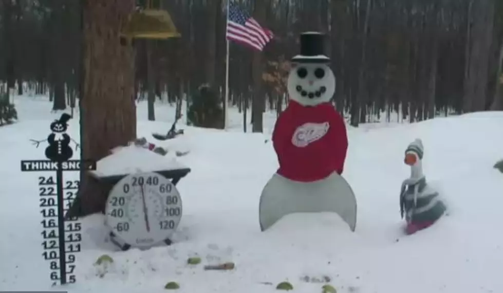 Snowman Cam is Outstanding in its Field