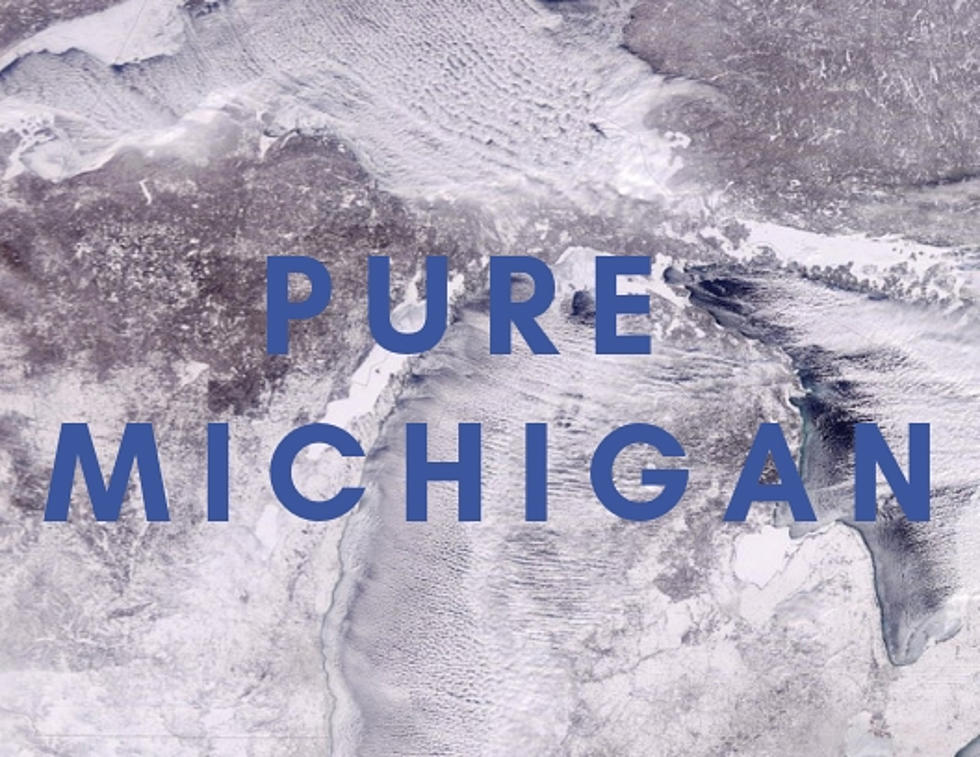View Michigan In The Grips Of The Polar Vortex From Space