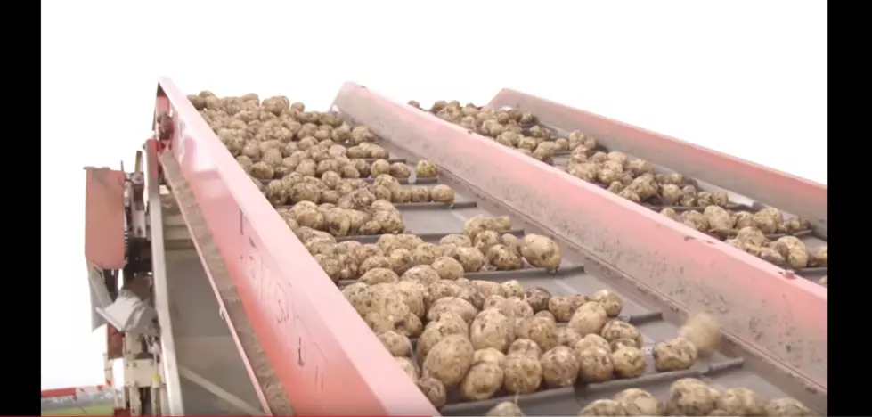 If You Eat Lay’s Chips, Your Potatoes Likely Came from This Southern Michigan Farm