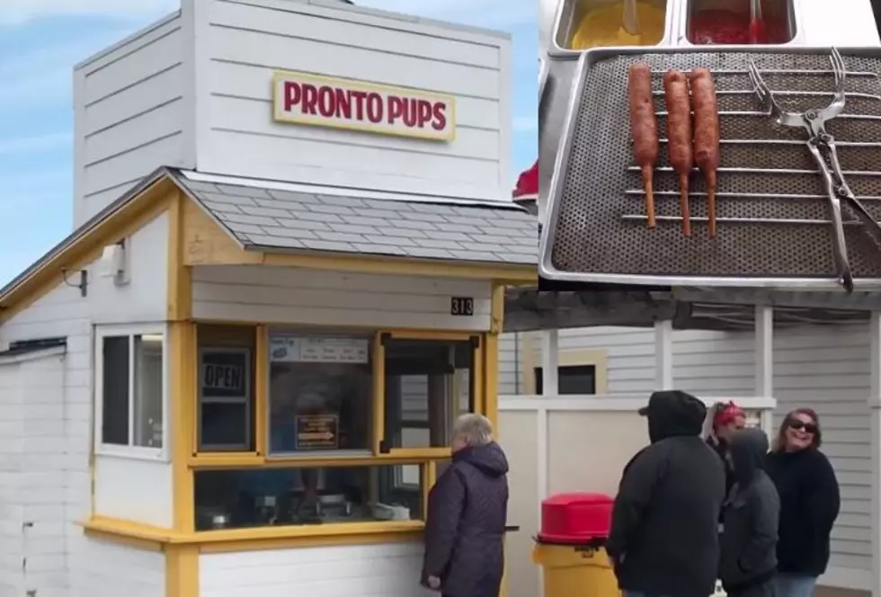 Pronto Pups are Worth Every Mile You Travel to Grand Haven to Get ’em