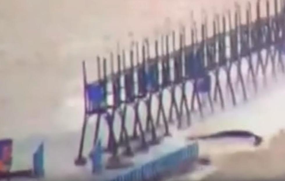 Video Captures Strange Creature off Lake Michigan Pier
