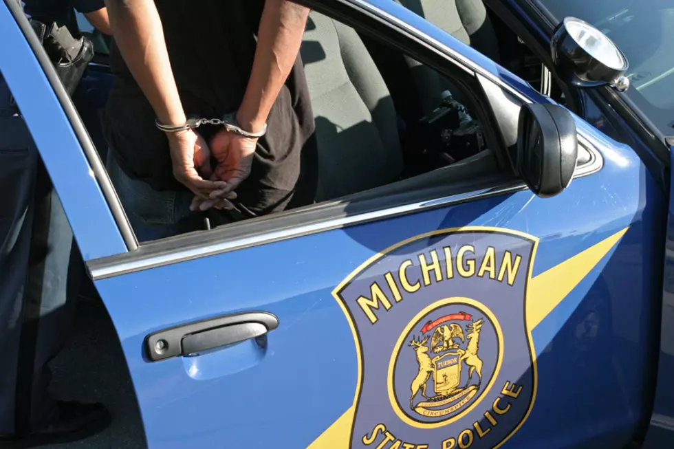 200+ Drunks Arrested Behind the Wheel in Michigan
