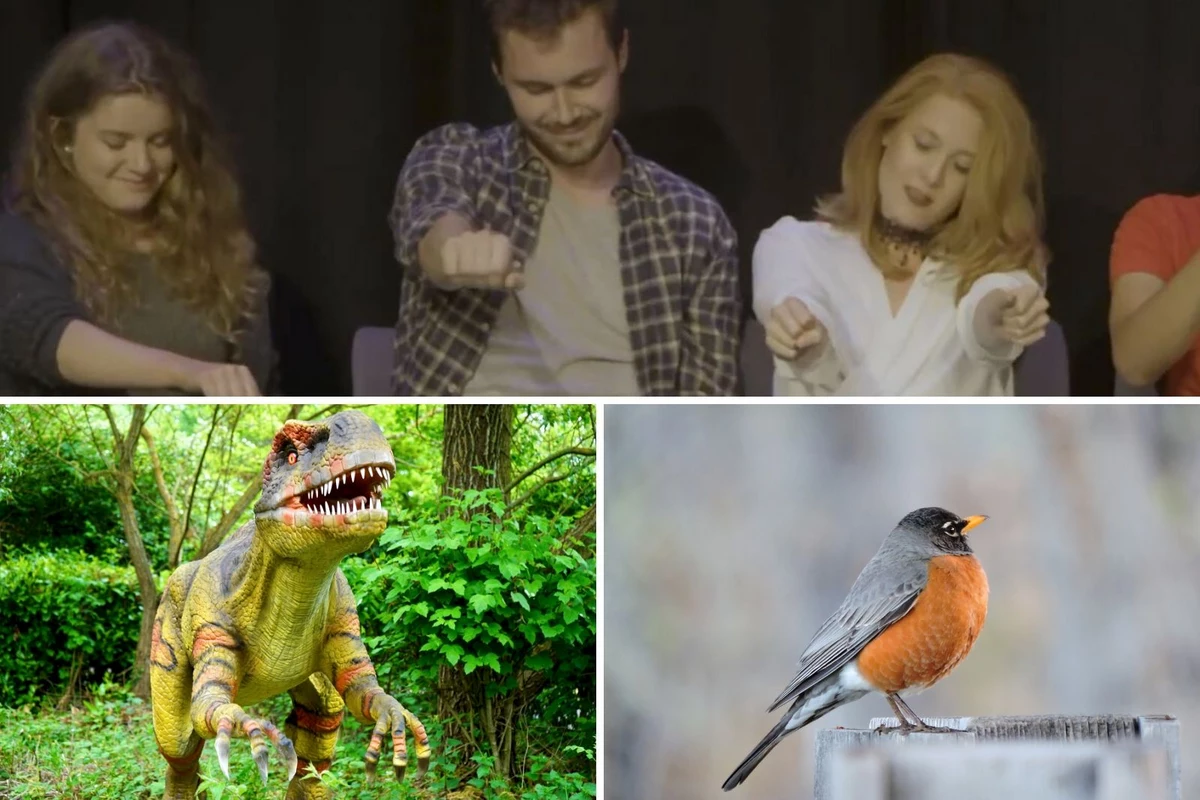 Things To Do In Kalamazoo: Weekend of January 17-19