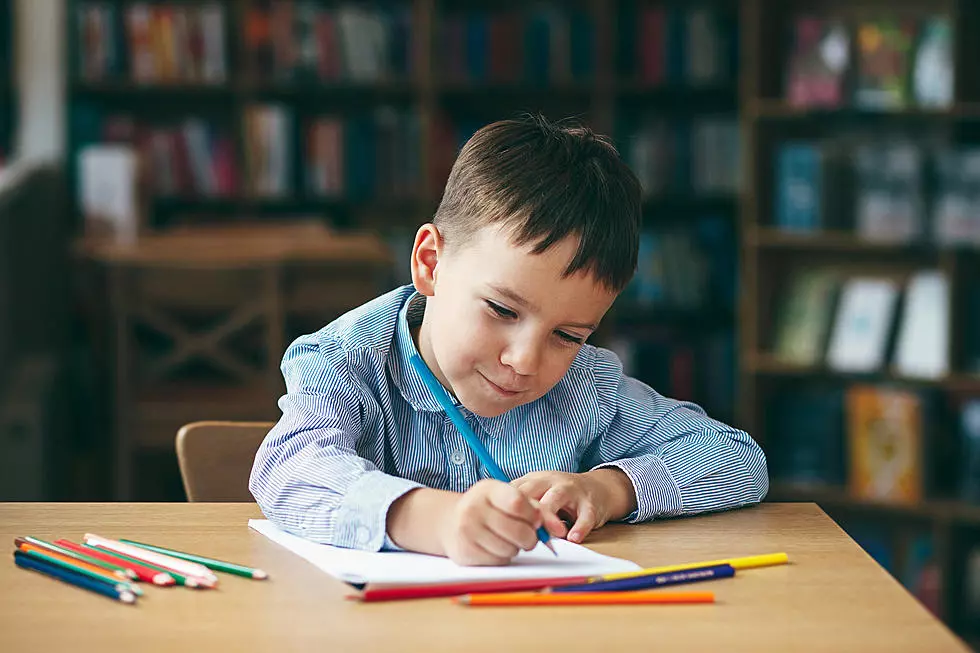 Minnesota Teens Start Free Tutoring Service to Help Kids Learning from Home