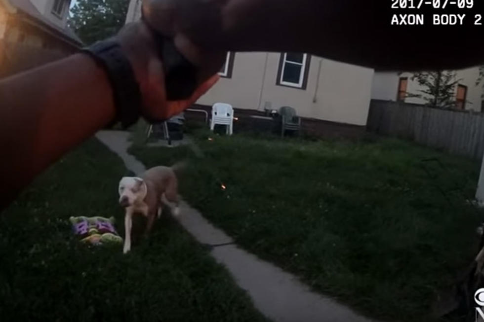 Bodycam Footage of Minneapolis Police Shooting 2 Dogs Released [WATCH]