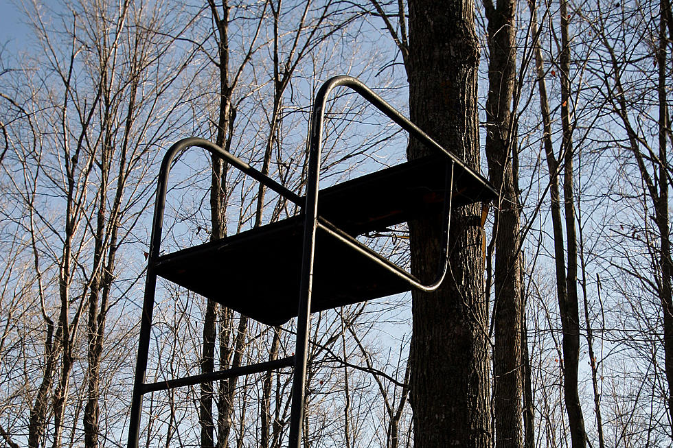 Minnesota DNR Blows Up Deer Stands With Dynamite