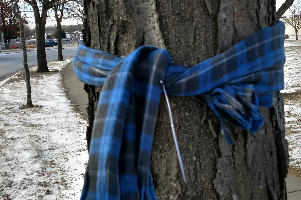 Why Are Scarves Tied to Trees Around St. Cloud?