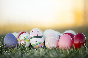 Kids Can Go Easter Egg Hunting At The Big Egg Hunt In Sibley Park