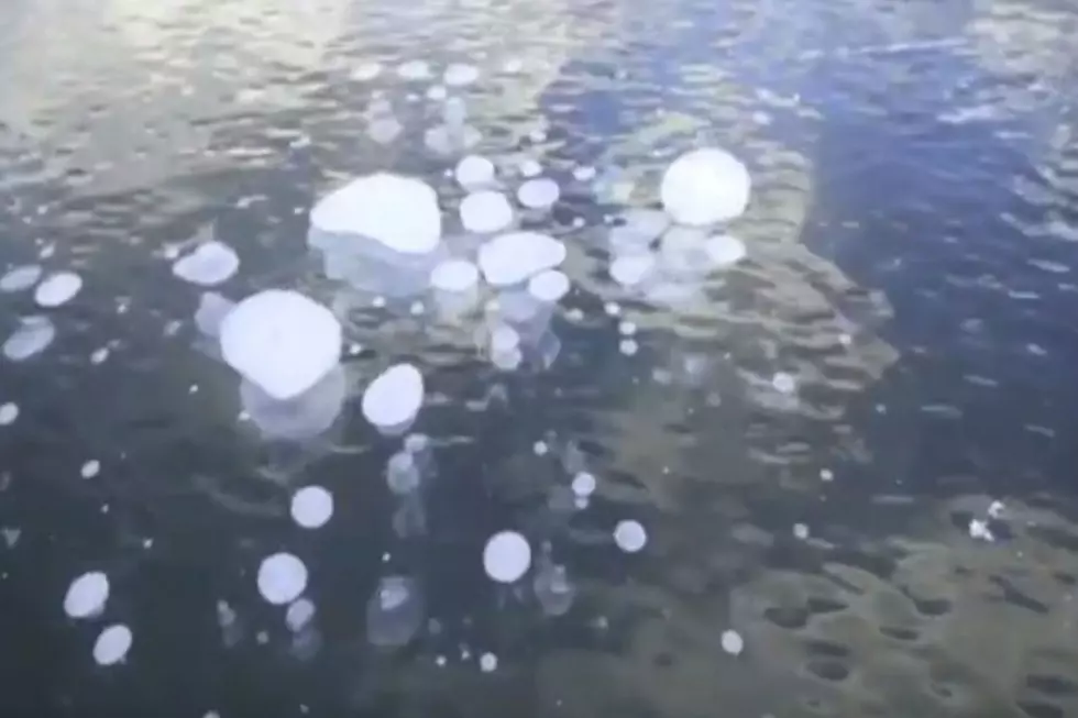 Have You Seen Frozen Lake Bubbles? [VIDEO]