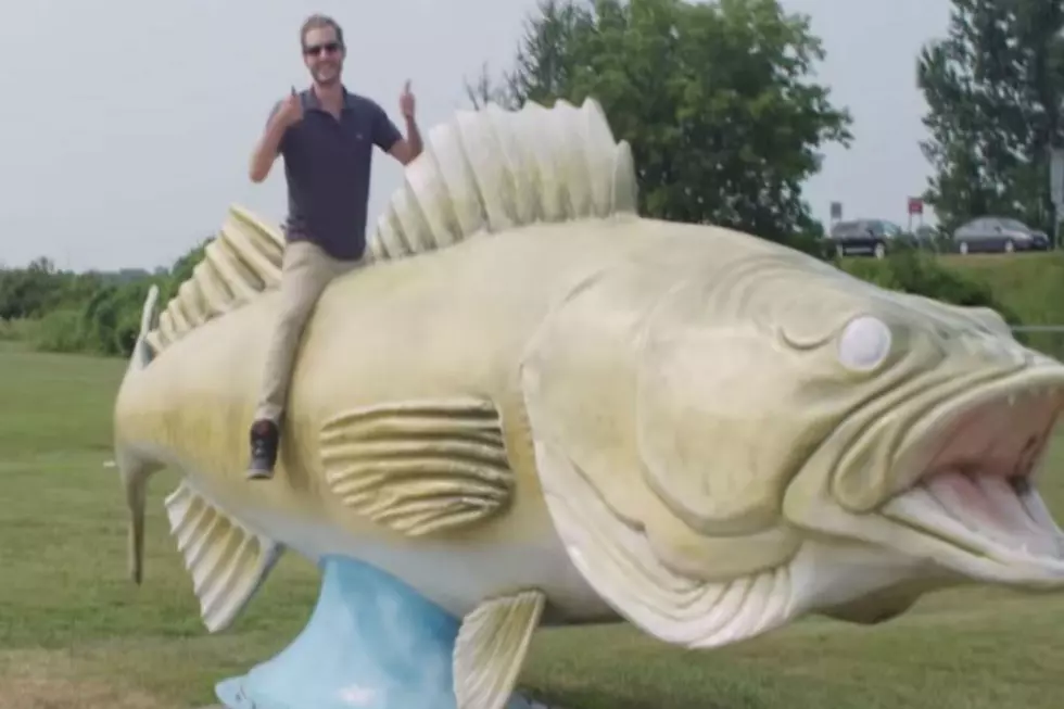 Have You Watched This “I’m From Minnesota” Video?