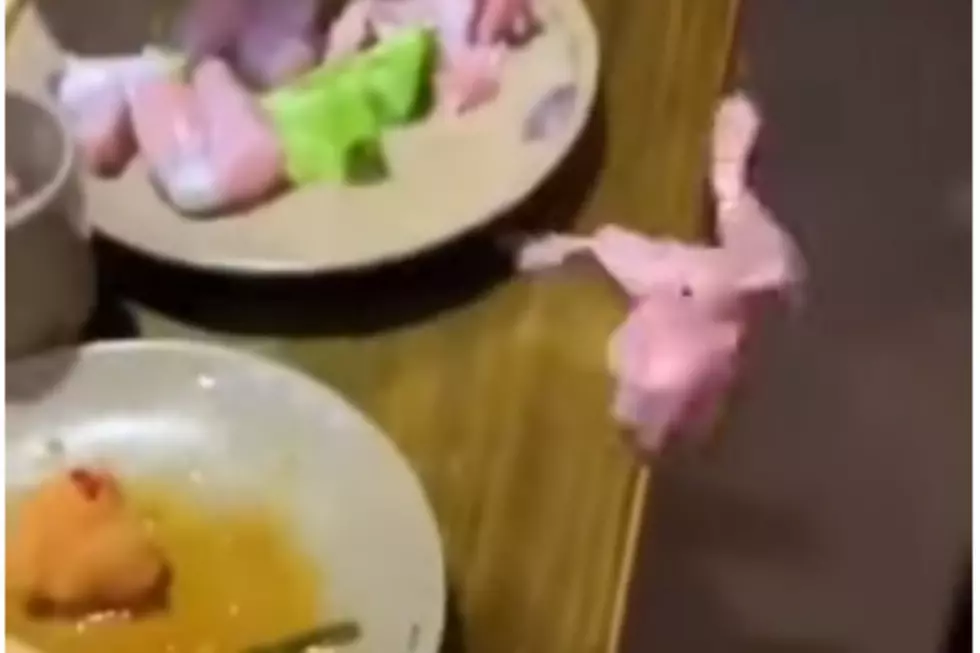 WATCH: Raw Chicken Crawls Off Plate
